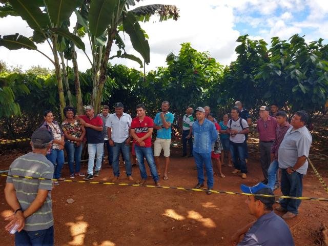 Produtores Rolimourenses participam de “Dia de Campo” sobre o cultivo de Cacau Clonal em Tarilândia - Gente de Opinião