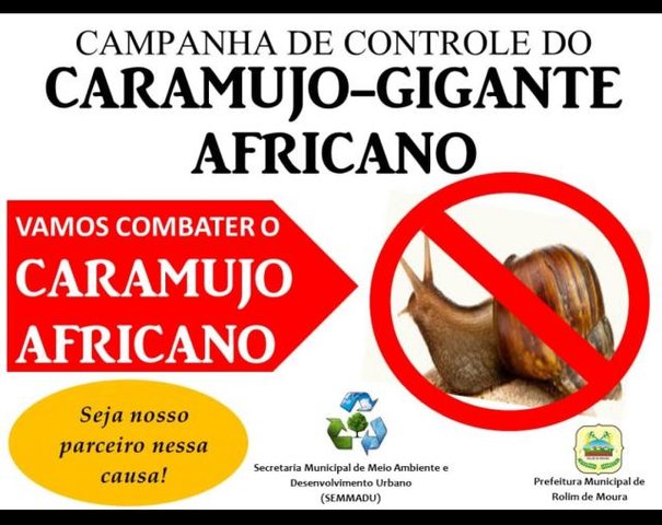 Secretaria de Meio Ambiente realiza campanha para eliminar caramujo africano em Rolim de Moura - Gente de Opinião