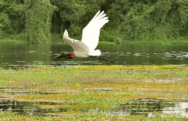 Atrações turísticas de RO:  Parque Estadual Corumbiara - Jornalistas do Grupo SGC recebem  Moção de Aplausos na Câmara - Gente de Opinião