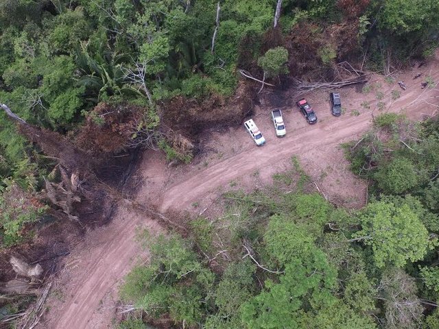 Rondônia: Decisão judicial reintegra o Incra na posse da reserva florestal do PA Margarida Alves - Gente de Opinião