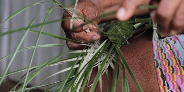 Tipiti, tecnologia indígena de uso secular na Amazônia, conheça este artefato - Gente de Opinião