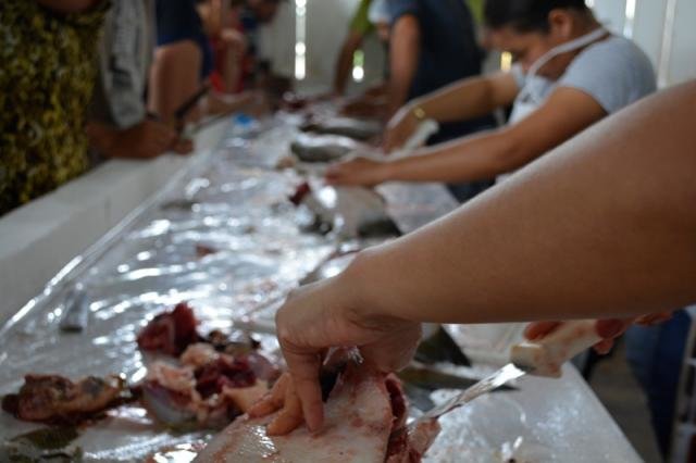 Rondônia: Produção de peixe é incentivada pelo Sebrae - Gente de Opinião