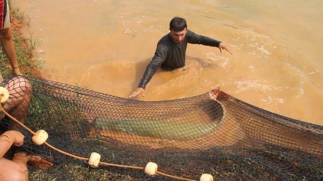 Setor regulamentado: pesca em rios pode ser feita mediante carteira de identificação - Gente de Opinião