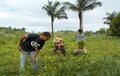 Projeto Plantar: mais de 800 hectares de áreas foram cadastradas para recuperação em Rondônia