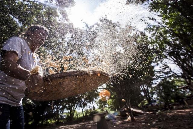 O documento assinala que a vida na Amazônia está ameaçada pela destruição e exploração ambiental - Divulgação/Iniciativa Produzir, Conservar, Incluir (PCI) - Gente de Opinião