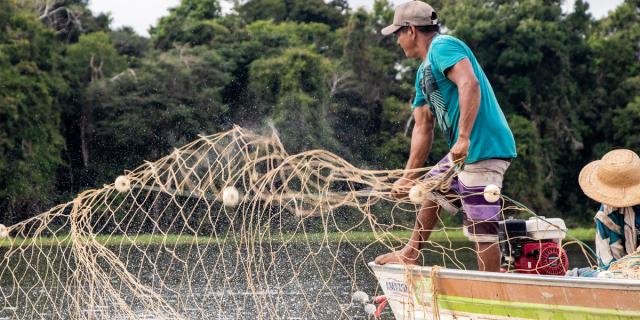 Na foto, manejadores na Reserva de Desenvolvimento Sustentável Amanã (Foto Bernardo Oliveira) - Gente de Opinião