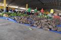 Parceria da Prefeitura de Porto Velho com Estado  garante renda a pequenos produtores