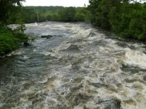 Quando o pequeno não é belo: Negligenciando os impactos cumulativos de Pequenas Centrais Hidrelétricas na Amazônia - Gente de Opinião