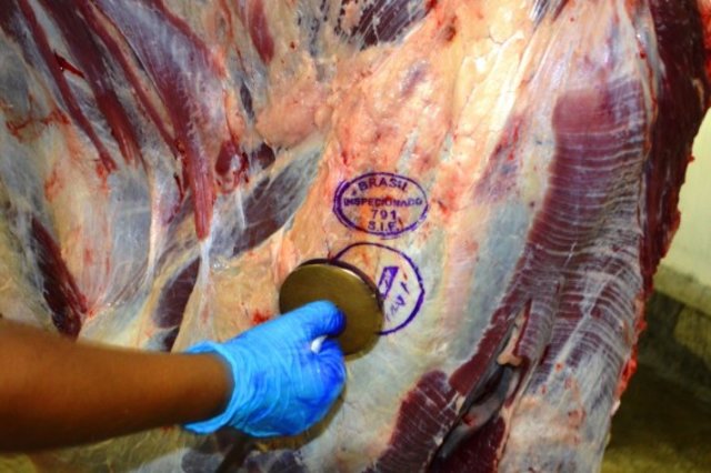 As exportações de carne bovina já são de 30,22% - Gente de Opinião