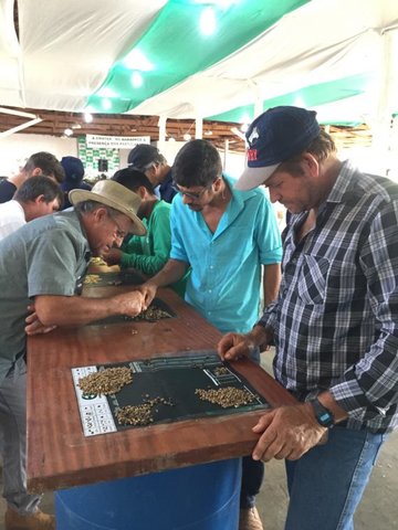 Cafeicultores de Rondônia são capacitados em Classificação Física e Análise Sensorial do Café - Gente de Opinião