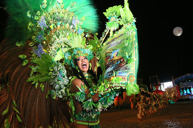 Estandarte do Boi Bumbá Marronzinho - Fotos: Roni Carvalho - Gente de Opinião