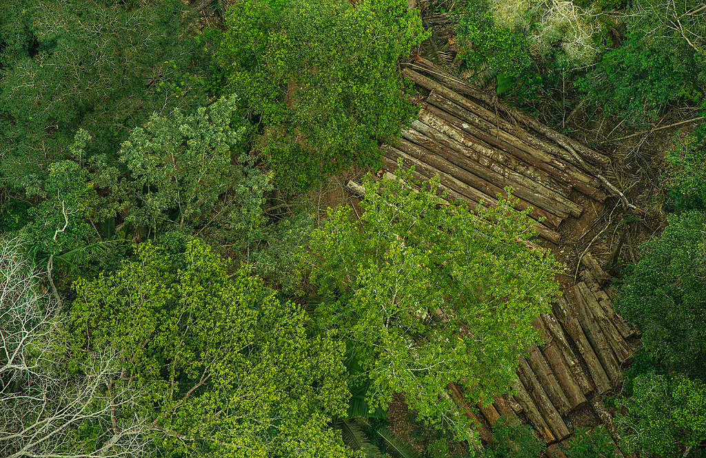 Vale do Madeira terá o mesmo fim que o Araguaia, Tocantins, Tapajós e Xingu - Gente de Opinião