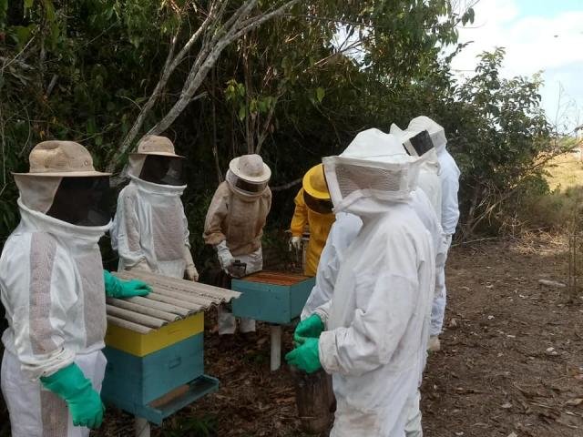 Prefeitura de Rolim de Moura capacita apicultores da região - Gente de Opinião