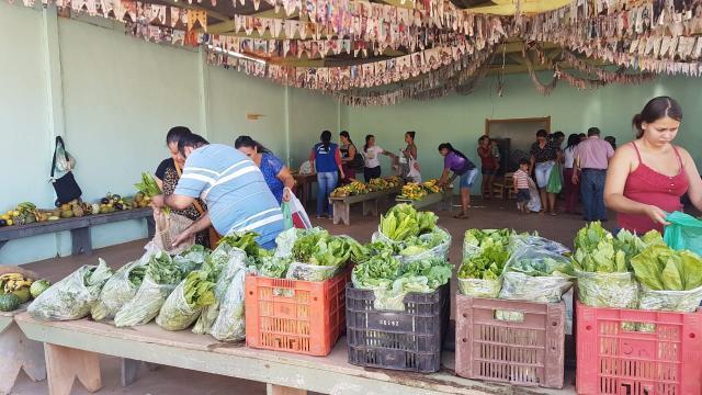 Famílias cadastradas no CadÚnico recebem alimentos gratuitos em Rolim de Moura  - Gente de Opinião