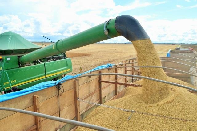Estimativa da Conab prevê recorde na produção regional de grãos em Rondônia - Gente de Opinião