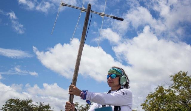 Levantamentos fazem parte de trabalho do Grupo de Pesquisa em Mamíferos Aquáticos Amazônicos, que monitora espécies nas reservas (Foto: Amanda Lelis) - Gente de Opinião