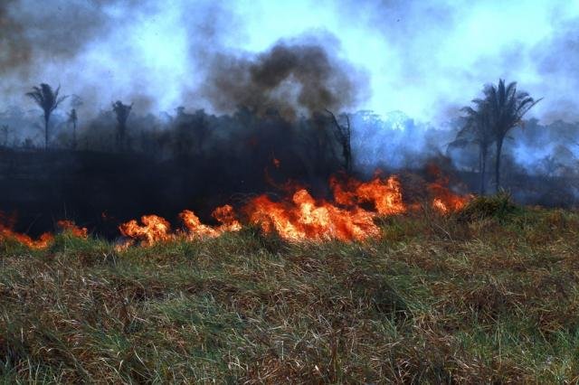 Equipes atuarão em áreas do Estado que apresentam maior incidência de focos de calor e incêndios - Gente de Opinião