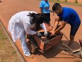 Rolim de Moura - Vacinação antirrábica continua no Centro de Controle de Zoonoses 