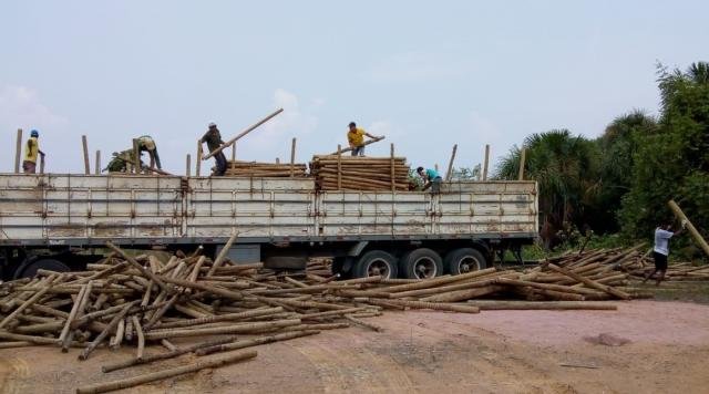 Em Rondônia, projeto Plantar realiza maior operação de recuperação de áreas do país - Gente de Opinião