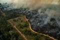 A Amazônia pode desaparecer como floresta e isso vai impactar o mundo todo