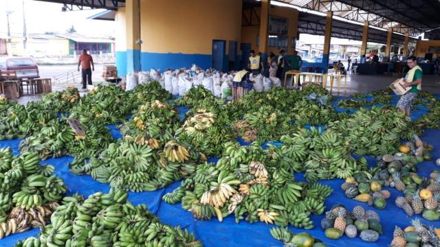 Porto Velho - PAA entregou 17 mil toneladas de alimentos neste mês de setembro - Gente de Opinião