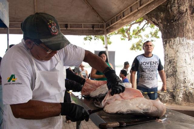 Fotos: Júlia de Freitas) - Gente de Opinião