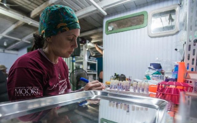 Pesquisadores realizam coletas para identificação de fauna (Foto Leonardo Lopes) - Gente de Opinião