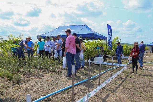 Usina Hidrelétrica Jirau inaugura Agroindústria de Açaí - Gente de Opinião