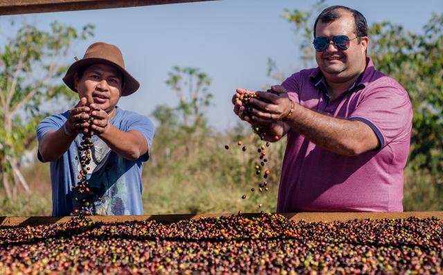 Rondônia concorre com 9 cafés entre os 30 melhores do Brasil - Gente de Opinião