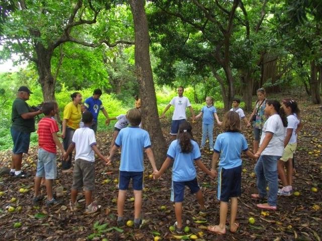 Educar: Solução para Degradação Ambiental e Violência - Gente de Opinião