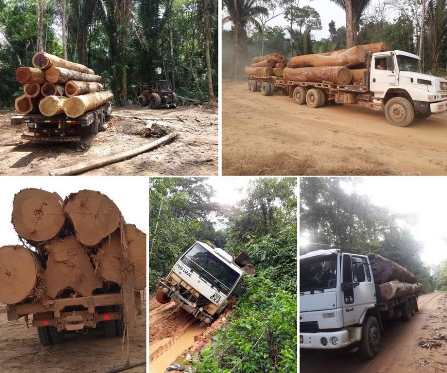Desmatamento em área de reserva de Rondônia é denunciado pela União dos Proprietários de Imóveis Rurais do Setor Manoa, Gleba Rio Preto e Jaquirana - Gente de Opinião