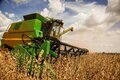 Soja é o produto agrícola com maior representatividade econômica em Rondônia