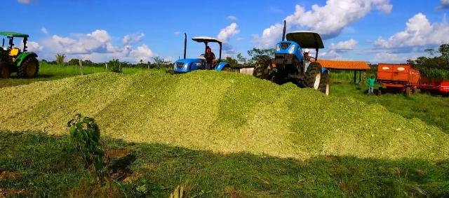 Prefeitura auxilia agricultores na produção da silagem de milho em Castanheiras - Gente de Opinião