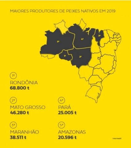 Indicação Geográfica valoriza a produção do tambaqui do Vale do Jamari - Gente de Opinião