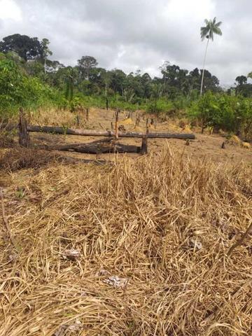 Rondônia: indígenas de aldeia Karipuna denunciam invasão e pedem socorro contra coronavírus - Gente de Opinião