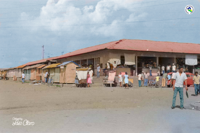 Minha vivencia e conhecimento sobre a cidade de Porto Velho - Gente de Opinião