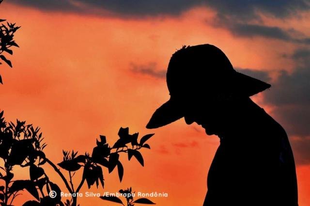 Por mais tecnológica que a agricultura tenha se tornado, ainda é dependente do fator humano. - Gente de Opinião