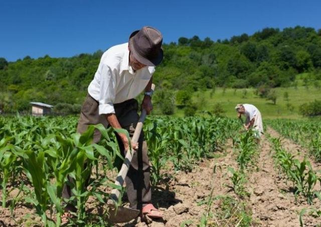 Prefeitura de Porto Velho comemora Dia do Trabalhador Rural - Gente de Opinião