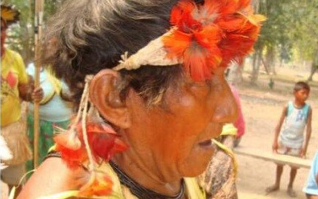 Pajé Cícero Xía Mot Arara: luto e re-existência indígena na Amazônia - Gente de Opinião