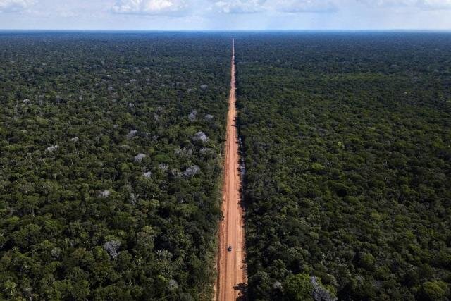 Governo Federal publica edital para pavimentação da BR-319/AM - Gente de Opinião