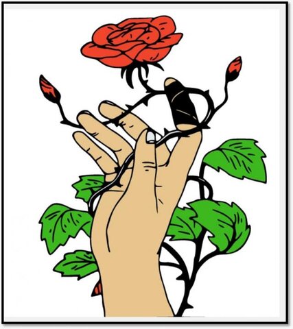 Para combater a Violência contra a mulher em Rolim de Moura, Semas elabora o projeto “Hoje Recebi Flores” - Gente de Opinião