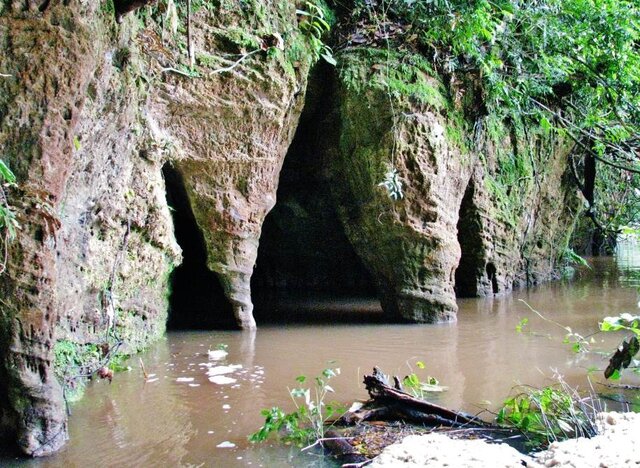  Berço da Humanidade - Cheia – Rio Cupari, PA - Gente de Opinião