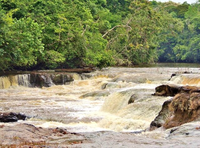Rio Cupari, PA - Gente de Opinião