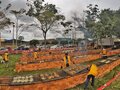 Churrasco de tambaqui em 10 cidades de Rondônia