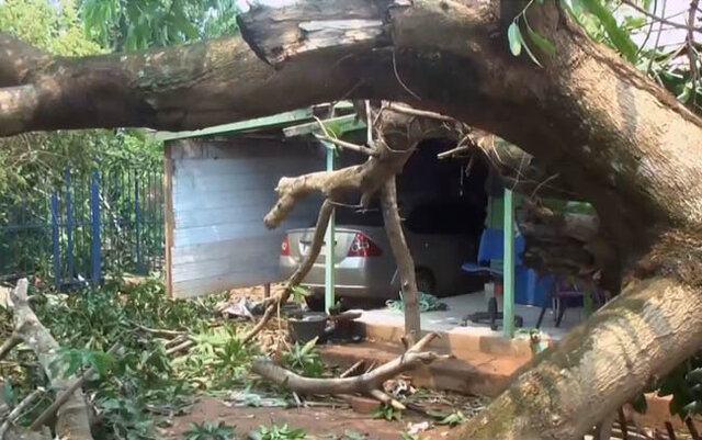 Temporais assustaram moradores do Cone Sul e da Zona da Mata - Gente de Opinião