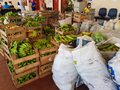9 milhões para fortalecer segurança alimentar da população de Rondônia
