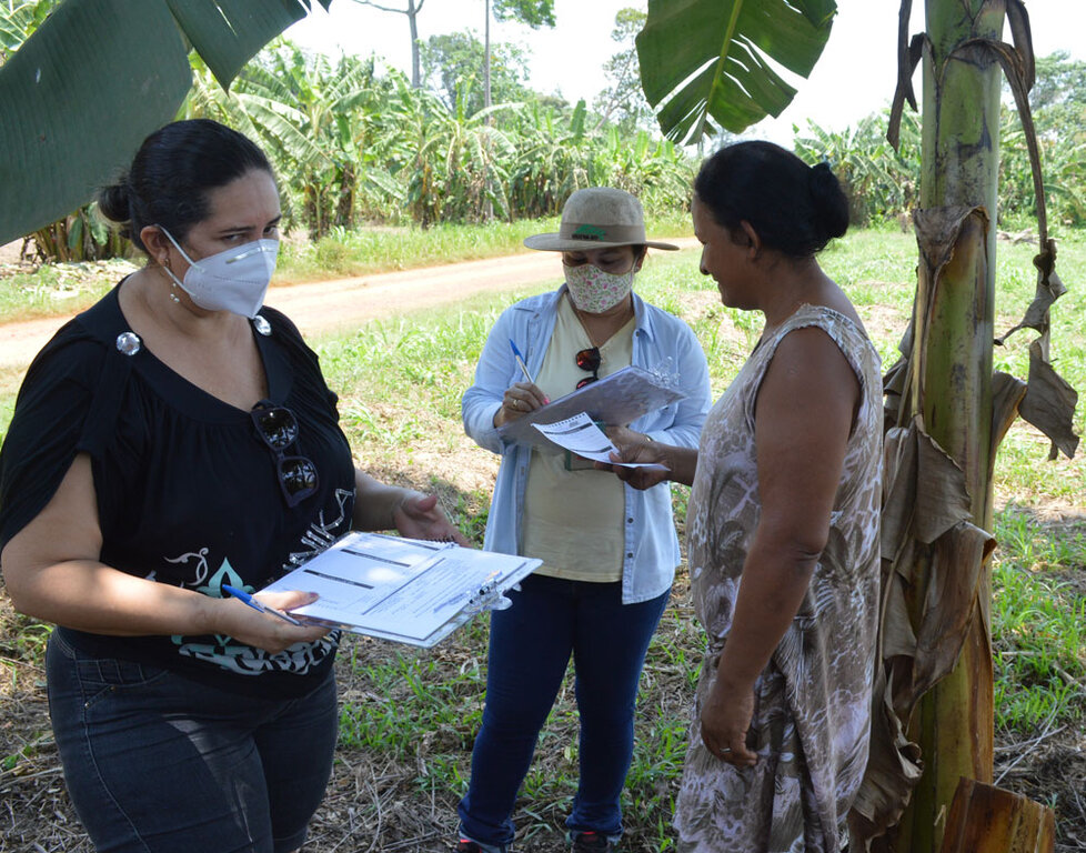 Extensionistas sociais acompanham agricultores que fornecem alimentos para programas oficiais, como o PAA - Gente de Opinião