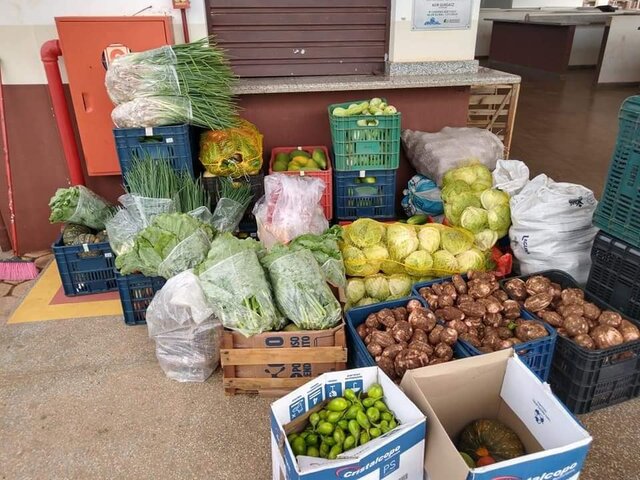 Prefeitura de Rolim de Moura distribui 4 toneladas de alimentos do PAA - Gente de Opinião