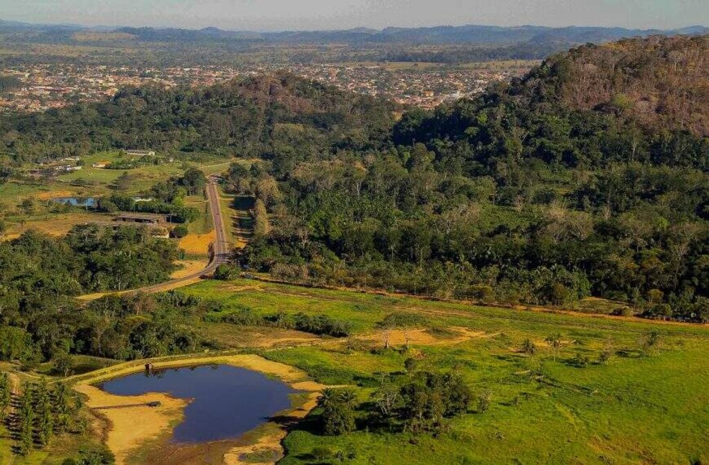 Lenha na Fogueira com a live do bumbá Malhadinho de Guajará Mirim e as ações de retomada ao turismo - Gente de Opinião