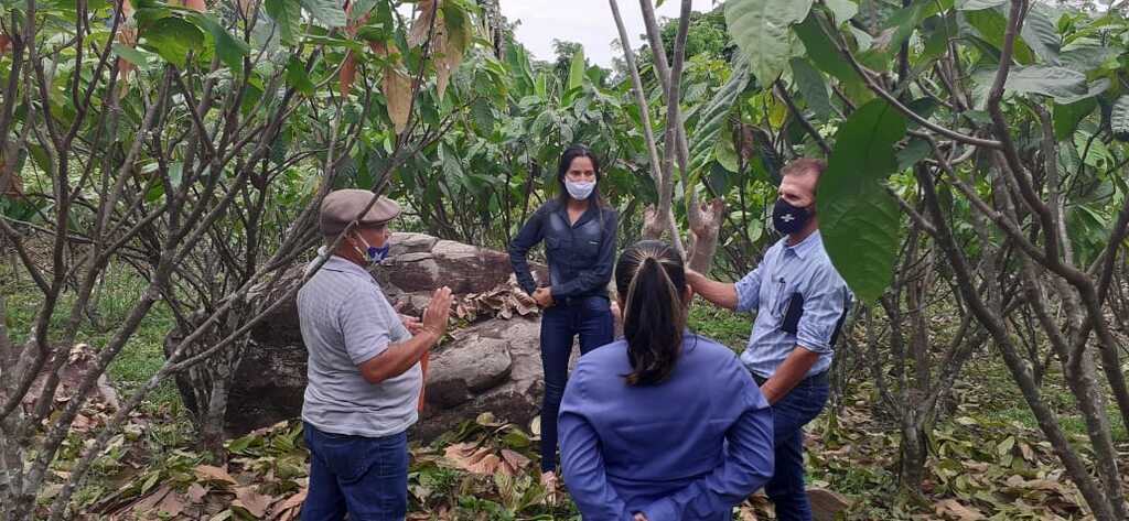 Cacauicultura de Rondônia avança no processo para ter Indicação Geográfica - Gente de Opinião